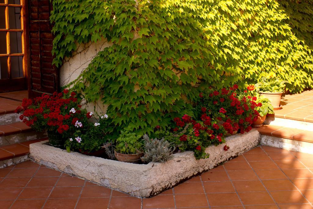 Casa Del Falso Pepe - Scala Dei Turchi Realmonte Esterno foto
