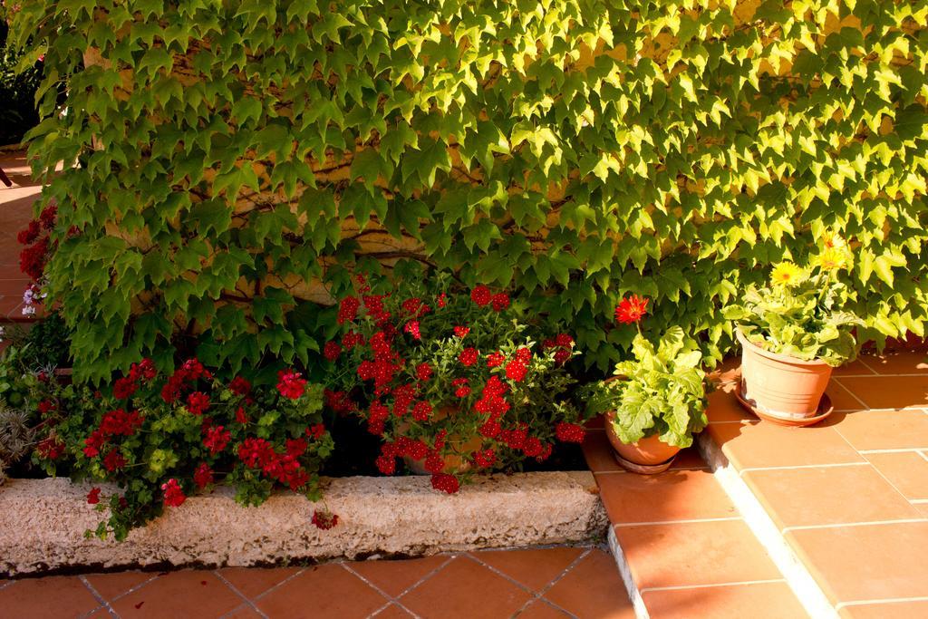 Casa Del Falso Pepe - Scala Dei Turchi Realmonte Esterno foto